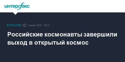 Олег Новицкий - Петр Дубров - Российские космонавты завершили выход в открытый космос - interfax.ru - Москва