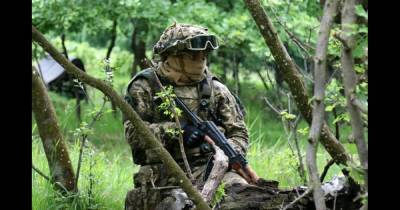 Без помощи НАТО: украинские военные самостоятельно уничтожили врага на учениях в Венгрии (фото) - focus.ua - США - Венгрия