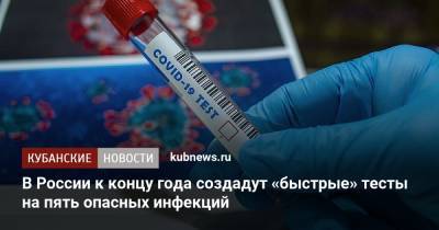 Владимир Путин - Татьяна Голикова - В России к концу года создадут «быстрые» тесты на пять опасных инфекций - kubnews.ru - Россия