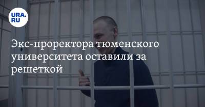 Экс-проректора тюменского университета оставили за решеткой - ura.news - Тюмень