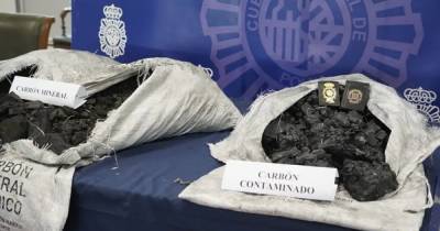 Черный и без запаха: в Испании изъяли почти тонну кокаина, замаскированного под древесный уголь - focus.ua - Испания - Португалия