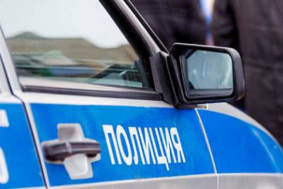 Александр Гусев - МВД ответило на данные об окруживших полицию под Новосибирском азербайджанцах - lenta.ru - Новосибирск