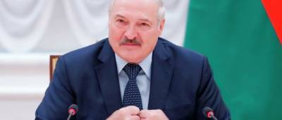 Александр Лукашенко - Роман Протасевич - Лукашенко подтвердил, что Протасевичу может грозить смертная казнь - w-n.com.ua - Минск - ЛНР