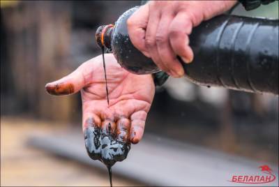В Беларуси изменили ставки экспортных пошлин на нефть и нефтепродукты - naviny.by