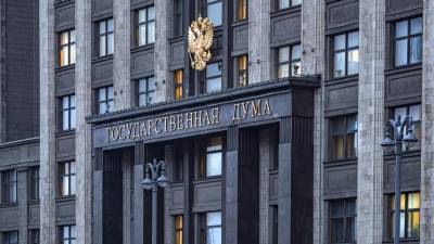В Госдуму внесли законопроект о санкциях к нарушившим права россиян - iz.ru