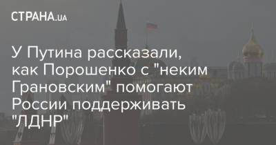 Петр Порошенко - Игорь Коломойский - Дмитрий Козак - У Путина рассказали, как Порошенко с "неким Грановским" помогают России поддерживать "ЛДНР" - strana.ua - Россия - Украина - ДНР - ЛНР