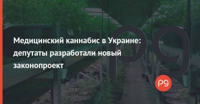 Евгения Кравчук - Медицинский каннабис в Украине: депутаты разработали новый законопроект - thepage.ua