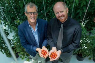 Стартап выращивает на морской воде сладкие томаты, которые дольше хранятся - agroportal.ua - Саудовская Аравия