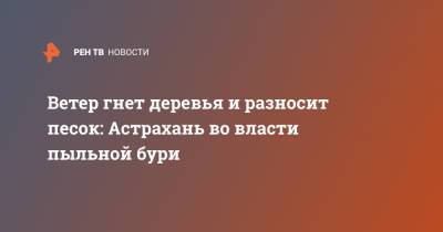 Ветер гнет деревья и разносит песок: Астрахань во власти пыльной бури - ren.tv - Астрахань