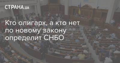 Владимир Зеленский - Ярослав Железняк - Кто олигарх, а кто нет по новому закону определит СНБО - strana.ua