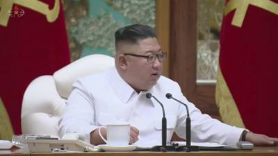 Ким Ченын - Ким Ечжон - В КНДР ввели должность на случай ЧС с Ким Чен Ыном - vesti.ru - КНДР - Корея