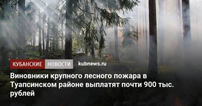 Виновники крупного лесного пожара в Туапсинском районе выплатят почти 900 тыс. рублей - kubnews.ru - Краснодарский край