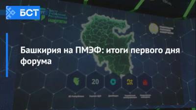 Радий Хабиров - Башкирия на ПМЭФ: итоги первого дня форума - bash.news - Башкирия