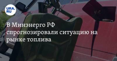 Николай Шульгинов - В Минэнерго РФ спрогнозировали ситуацию на рынке топлива - ura.news