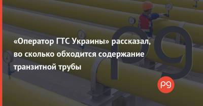 Сергей Макогон - «Оператор ГТС Украины» рассказал, во сколько обходится содержание транзитной трубы - thepage.ua