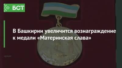 В Башкирии увеличится вознаграждение к медали «Материнская слава» - bash.news - Башкирия