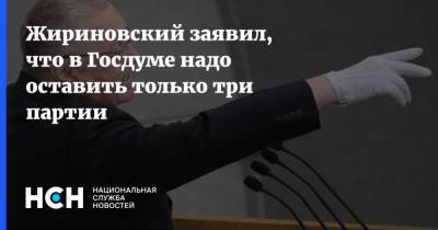 Дмитрий Медведев - Владимир Жириновский - Жириновский заявил, что в Госдуме надо оставить только три партии - nsn.fm