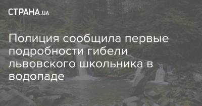 Полиция сообщила первые подробности гибели львовского школьника в водопаде - strana.ua - Львовская обл. - район Стрыйский