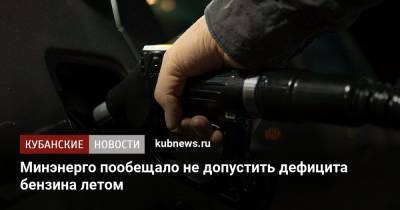 Николай Шульгинов - Минэнерго пообещало не допустить дефицита бензина летом - kubnews.ru - Россия