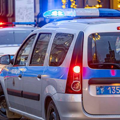 Ольга Врадий - В Химках мужчина избил полицейских из-за парковочного места - radiomayak.ru