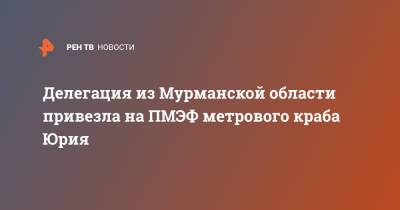 Андрей Чибис - Делегация из Мурманской области привезла на ПМЭФ метрового краба Юрия - ren.tv - Мурманская обл.