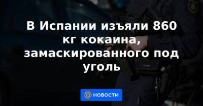 В Испании изъяли 860 кг кокаина, замаскированного под уголь - news.mail.ru - Испания - Португалия
