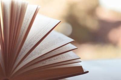 Международную Букеровскую премию получил французский писатель Давид Диоп - aif.ru - Англия - Париж - Сенегал