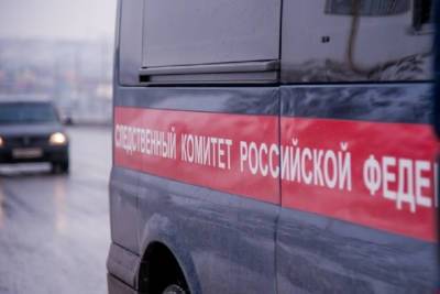 СК организовал проверку из-за смерти в детском лагере под Волгоградом - volg.mk.ru - Волгоград - Волгоградская обл.