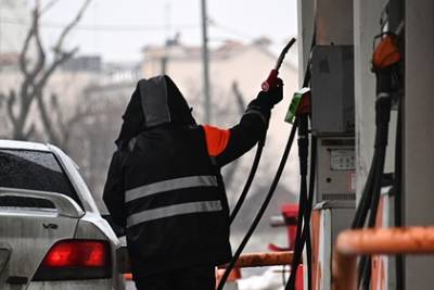 Павел Сорокин - Николай Шульгинов - В России исключили дефицит бензина в летний период - lenta.ru
