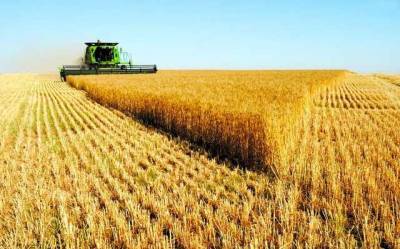 Дмитрий Кулеба - Украина планирует увеличить аграрный экспорт в Ирак - novostiua.news - Ирак