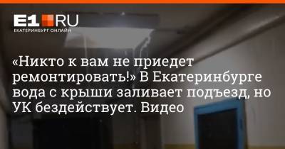 «Никто к вам не приедет ремонтировать!» В Екатеринбурге вода с крыши заливает подъезд, но УК бездействует. Видео - e1.ru - Екатеринбург