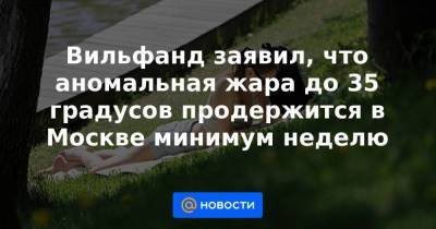 Роман Вильфанд - Вильфанд заявил, что аномальная жара до 35 градусов продержится в Москве минимум неделю - smartmoney.one - Москва