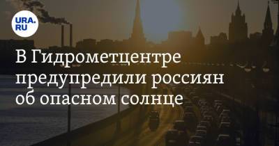 Роман Вильфанд - В Гидрометцентре предупредили россиян об опасном солнце - ura.news - ЦФО