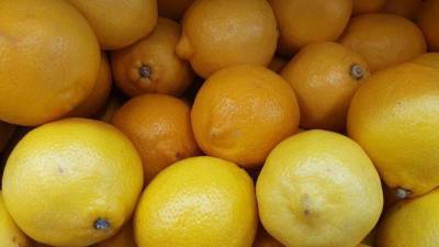 Как вырастить лимон: 5 рекомендаций - skuke.net