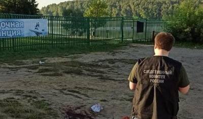 Один человек погиб при массовой драке в Тульской области - newizv.ru - Советск - Тульская обл. - Щекино