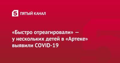 Антон Лясковский - «Быстро отреагировали» — у нескольких детей в «Артеке» выявили COVID-19 - 5-tv.ru - Крым