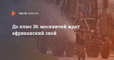 Евгений Тишковец - До плюс 36: москвичей ждет африканский зной - ren.tv - Москва