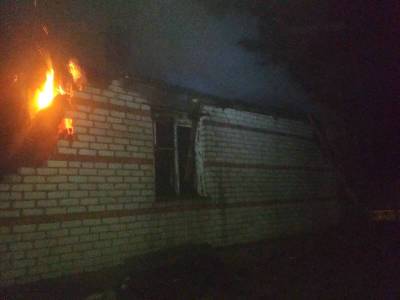 В Смоленской области собака предупредила своих хозяев о пожаре - rabochy-put.ru - Смоленская обл.