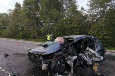 В лобовом ДТП в Хабаровском крае погибли четыре человека - hab.aif.ru - район Вяземский - Хабаровский край - Хабаровск