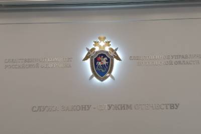 СУ СК: В Щекино задержан подозреваемый в убийстве - tula.mk.ru - Советск - Тульская обл.