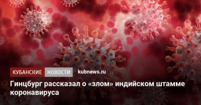 Александр Гинцбург - Гинцбург рассказал о «злом» индийском штамме коронавируса - kubnews.ru - Краснодарский край