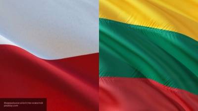 Жители Литвы и Польши возмущены попытками властей дестабилизировать Белоруссию - newinform.com - Литва