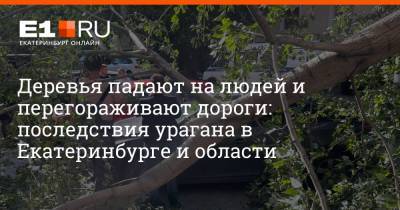 Деревья падают на людей и перегораживают дороги: последствия урагана в Екатеринбурге и области - e1.ru - Екатеринбург - Свердловская обл.