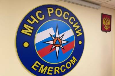 На пожаре в Щекинском районе 62-летняя женщина получила сильные ожоги - tula.mk.ru - Тула - Новомосковск - Тульская обл. - Киреевск
