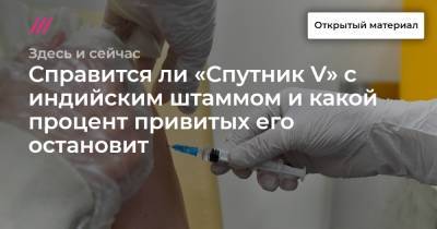 Сергей Собянин - Александр Гинцбург - Справится ли «Спутник V» с индийским штаммом и какой процент привитых его остановит - tvrain.ru - Москва