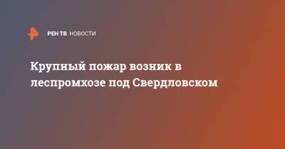 Крупный пожар возник в леспромхозе под Свердловском - ren.tv - Свердловская обл. - Свердловск