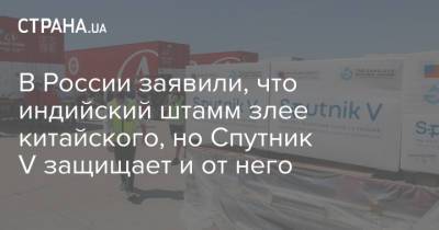 Александр Гинцбург - В России заявили, что индийский штамм злее китайского, но Спутник V защищает и от него - strana.ua