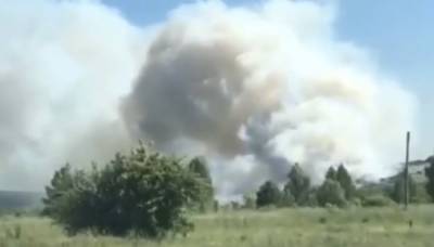 В МЧС Башкирии прокомментировали пожар на свалке в поселке Новые Черкассы - ufacitynews.ru - Башкирия