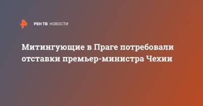 Милош Земан - Андрей Бабиш - Митингующие в Праге потребовали отставки премьер-министра Чехии - ren.tv - Чехия - Прага