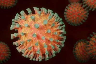 Власти Индии сообщают о появлении нового штамма коронавируса - mk.ru - India - штат Махараштра - Мумбаи